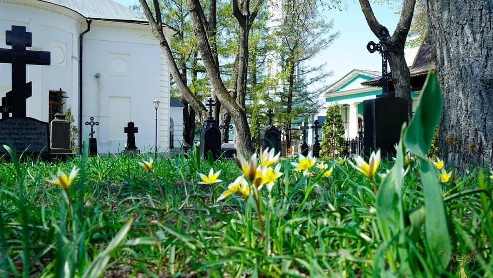 Вход Господень в Иерусалим и Вербное воскресение_13